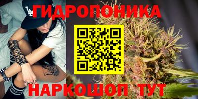 эйфоретик Моздок