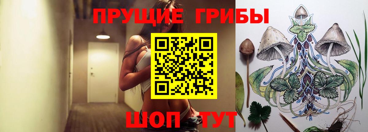 Галлюциногенные грибы мухоморы  Вход с VPN  цены   Видное  Галлюциногенные грибы Cubensis 